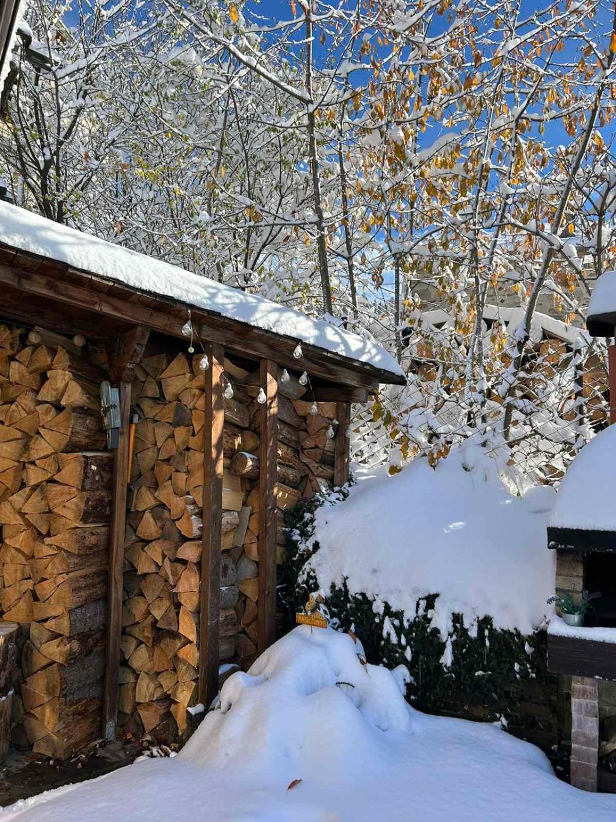 Chepelare Holiday Guest House Kültér fotó